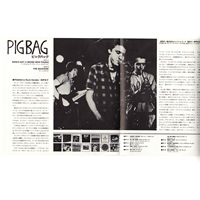 Papa's Got A Brand New Pigbag